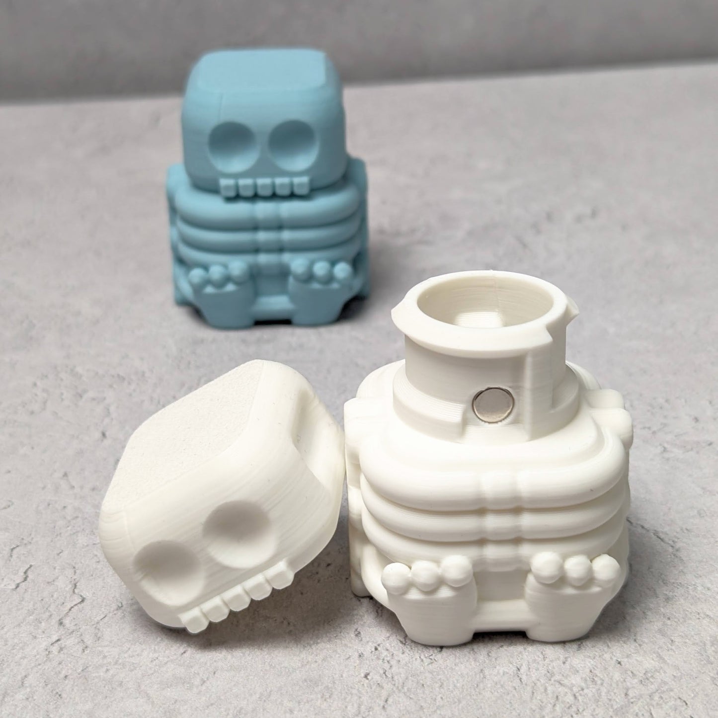 Little skeleton compartment