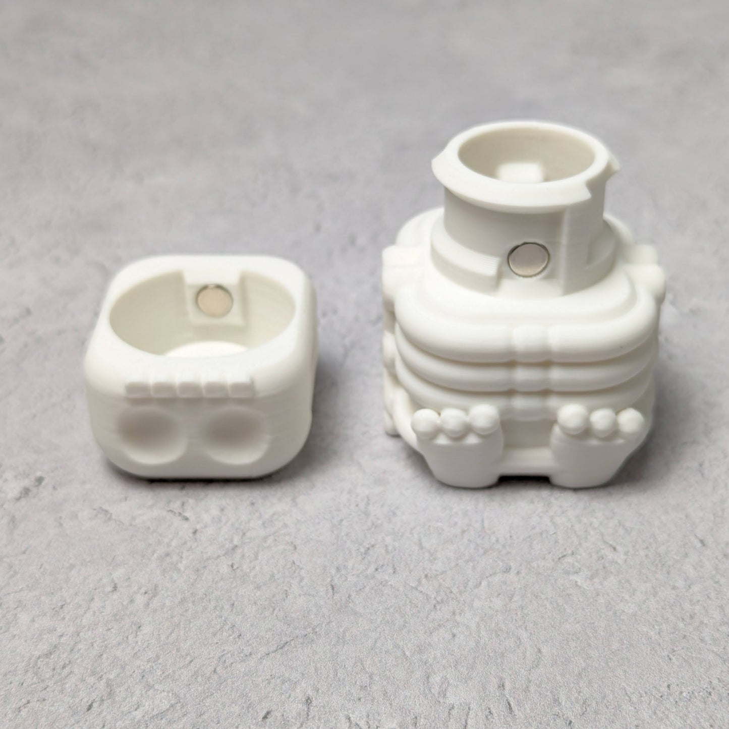 Little skeleton compartment