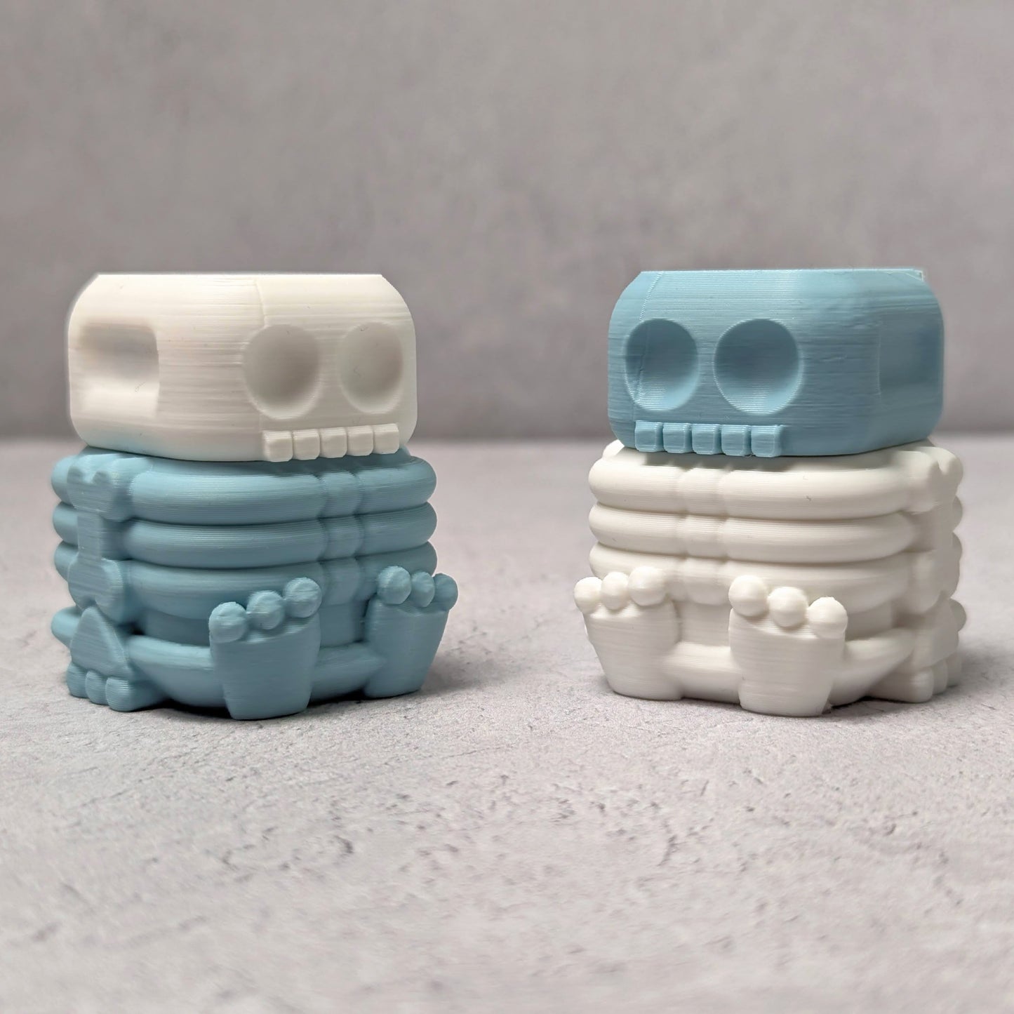 Little skeleton compartment