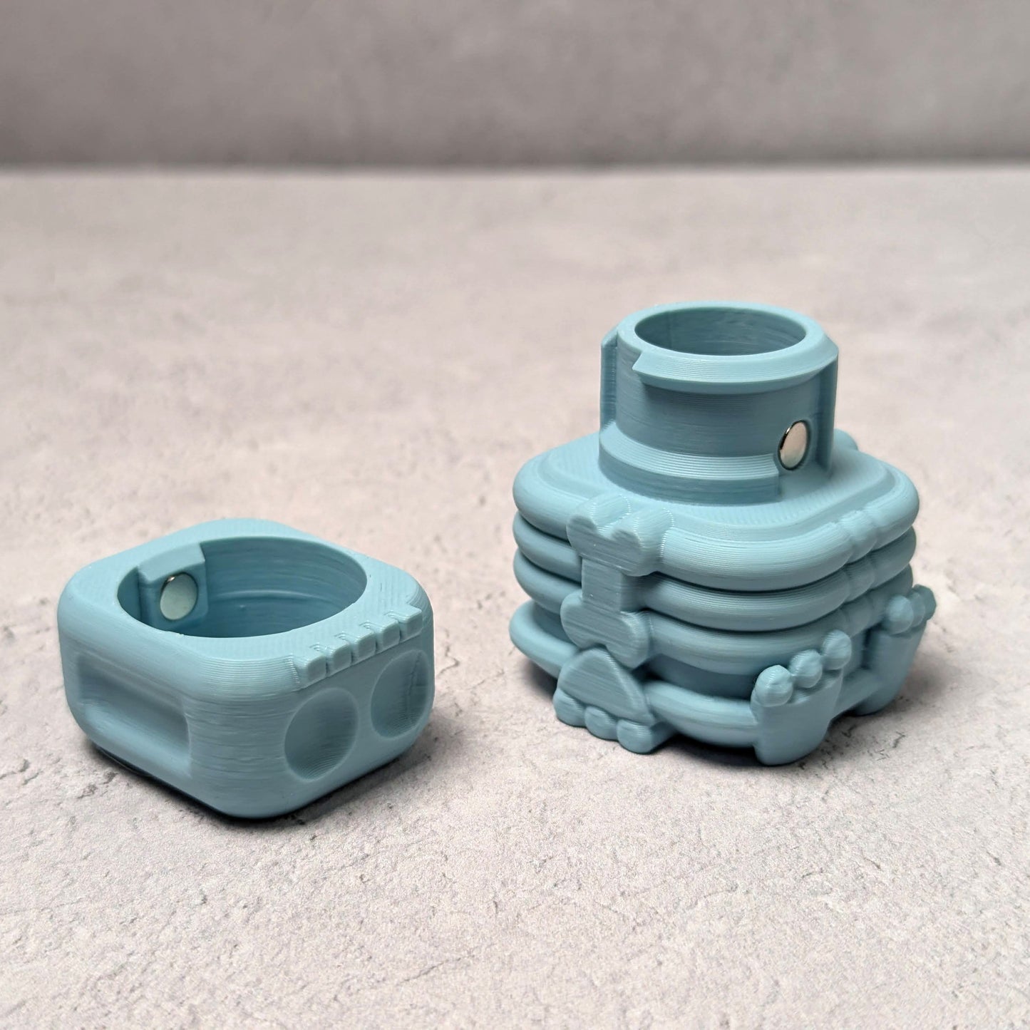 Little skeleton compartment